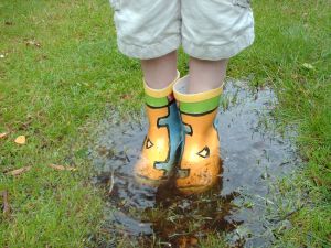 wellies.jpg